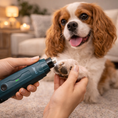 Load image into Gallery viewer, GroomPro | Dog Nail Grinder with 6-Speed Settings & Whisper-Quiet Technology | Safe Trimming for All Breeds