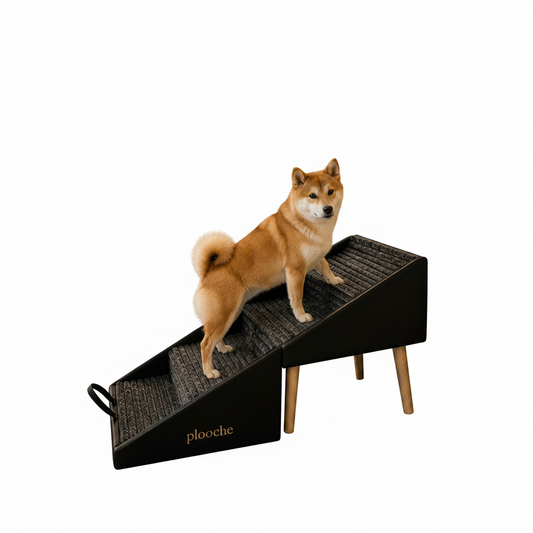 The Haven™ Pet Ramp