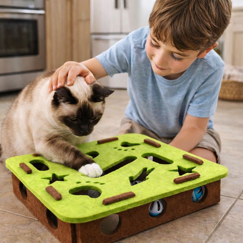 Interactive Cat Toys | Cat Puzzle Toy with Soft Tunnels & Hidden Openings | Engaging Playtime for Indoor Cats