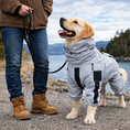 Load image into Gallery viewer, Outdoor Companion | Waterproof Dog Rain Coat with Reflective Shell | Lightweight Protection for All Weather
