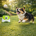 Load image into Gallery viewer, Plooche Ball Launcher
