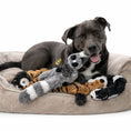 Load image into Gallery viewer, Plush Squeaky Dog Toy with Crinkle Sounds | Safe Chew for Engaging Play
