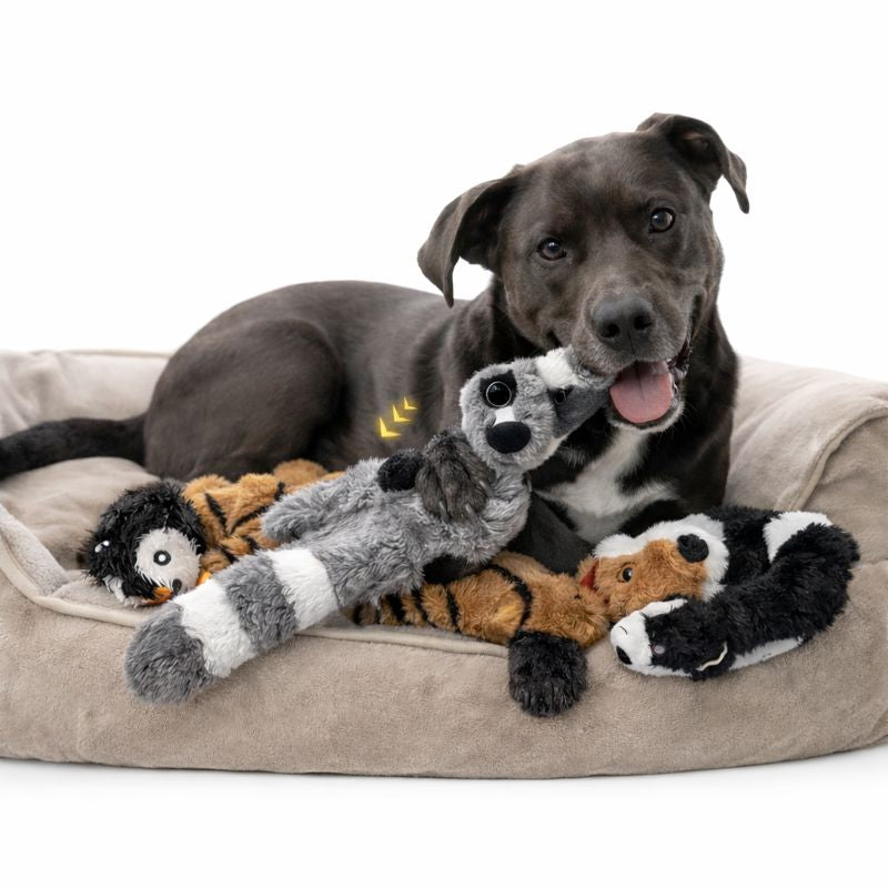Plush Squeaky Dog Toy with Crinkle Sounds | Safe Chew for Engaging Play