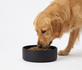 Load image into Gallery viewer, Plooche™ Signature Ceramic Pet Bowl
