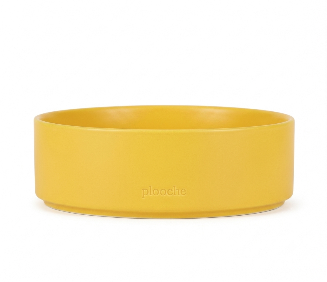 Plooche™ Signature Ceramic Pet Bowl